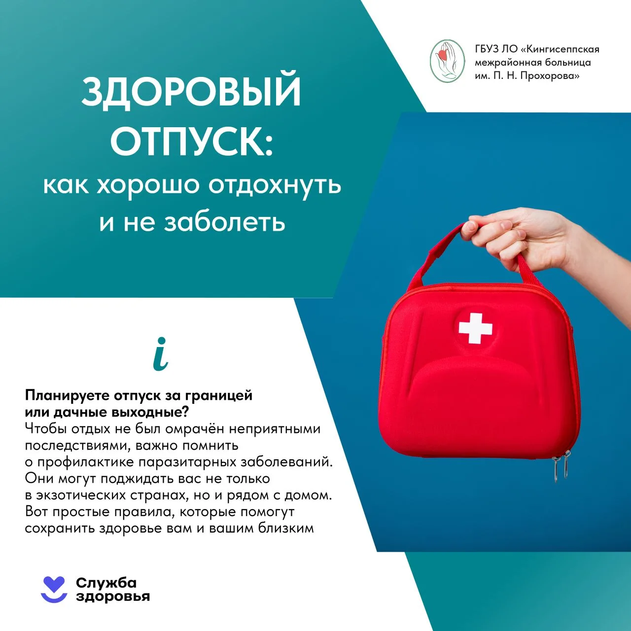 🛡 Ваша защита от паразитов: что нужно знать