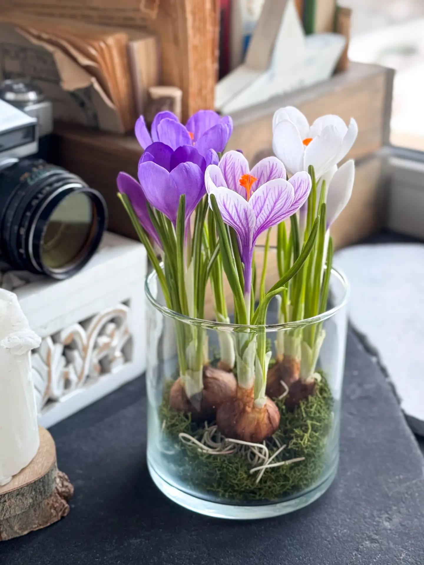 ВИДЕОКУРС «КРОКУСЫ»: https://tanyaflower.ru/crocus/