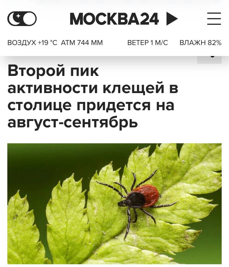 Клещи не собираются в отпуск — впереди второй пик их активности.

По словам биологов, в августе и се