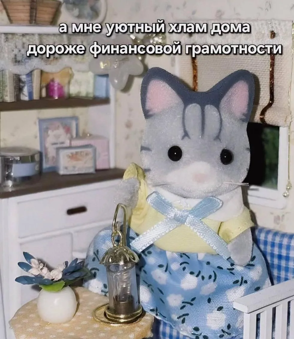 мы?