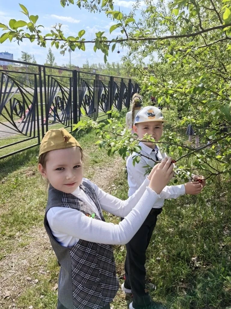 🌳  Георгиевская ленточка на Яблоневой аллее  ✅Каждый год в канун Дня Великой Победы Яблоневая аллея 