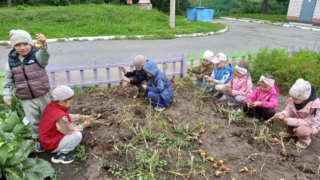 В огороде детского сада ребята  вместе с воспитателями выращивают  овощи: помидоры, пер...