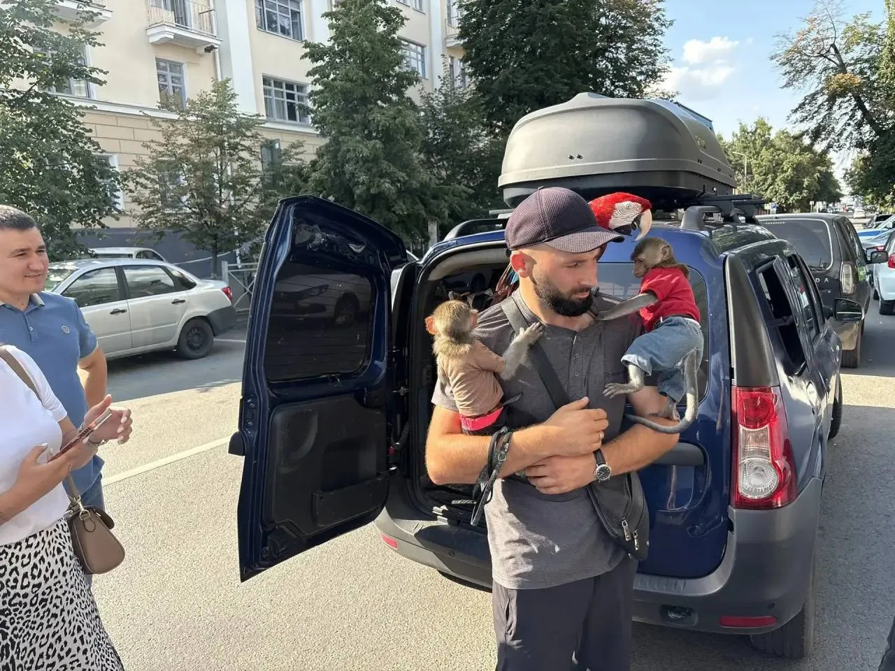 🤬Уличные фотографы из Казани бьют обезьян шокерами — полиция впервые забрала у них животных

Предпр
