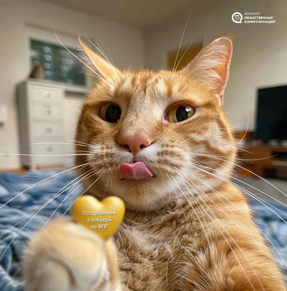 Ура! Мы победили 🧡

21 проект из Ленинградской области получил поддержку Фонда президентских гранто
