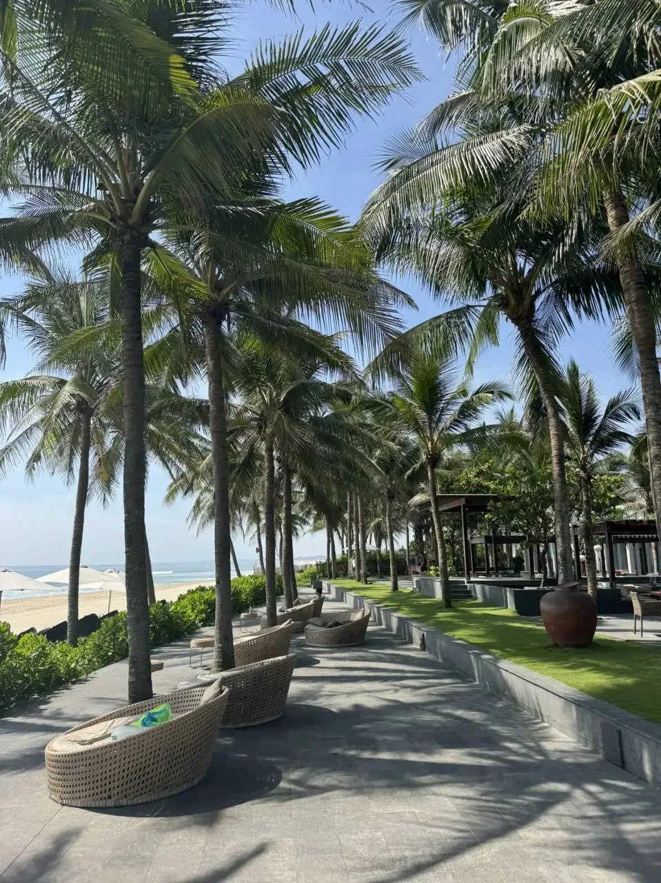 ВЬЕТНАМ 🇻🇳