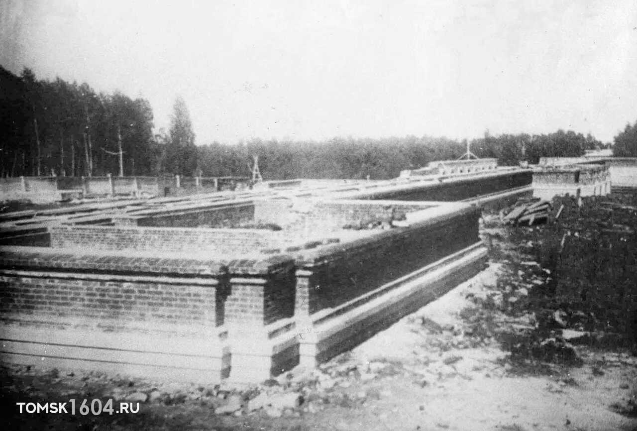 Строительство главного корпуса Томского технологического института (современный ТПУ) . ...