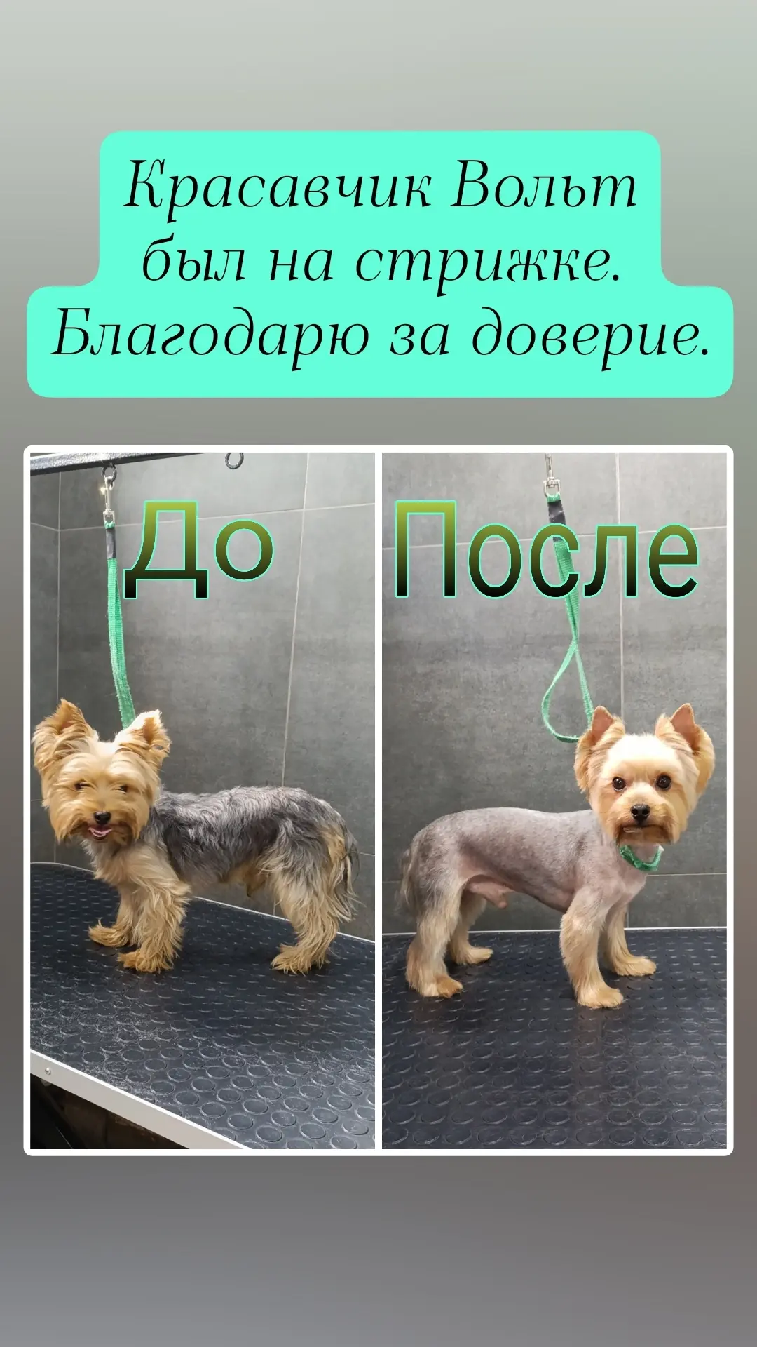 Красавчик и красавица были на полном комплексе 🥰🥰🥰🤗🤗🤗
