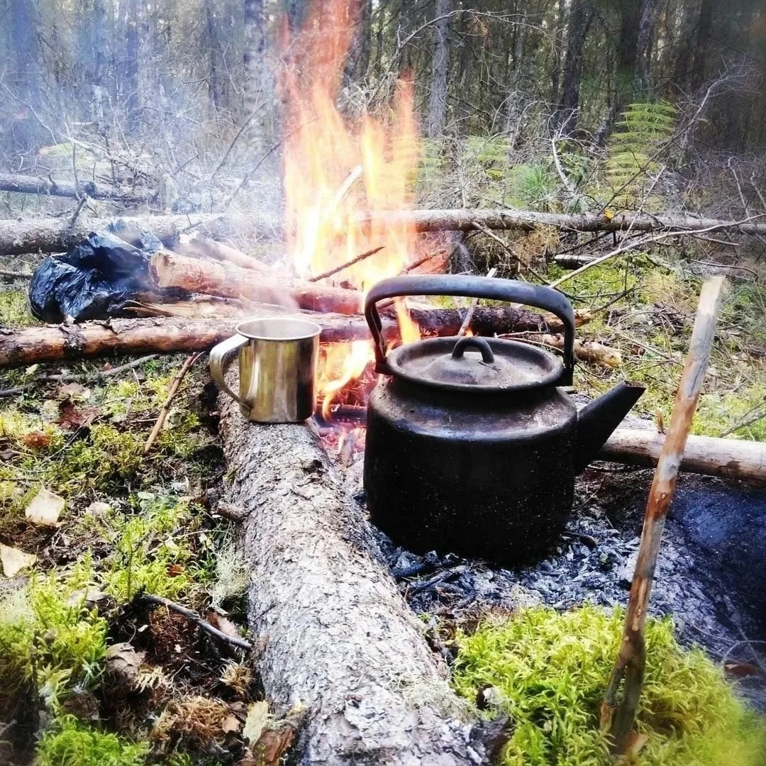 Доброе утро Карелия. 🌲