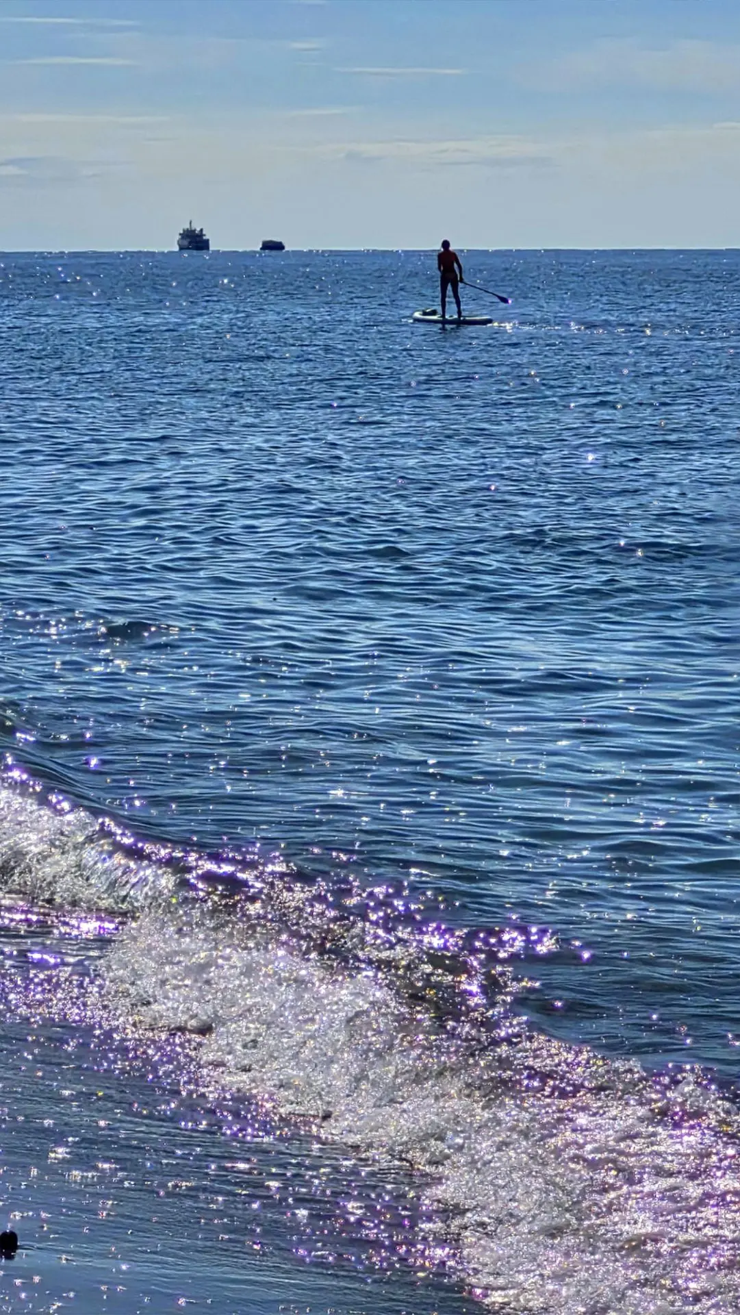 Люди, чайки..и Фламинго😁🦩🌊).
