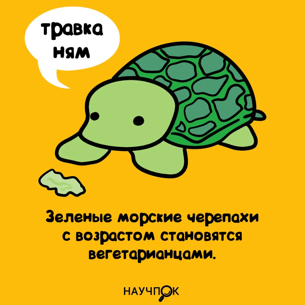 Научпок | Подписаться