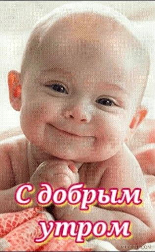 Доброе утро. Пусть у вас будет все отлично!☀️

Я - Пенсионер✅