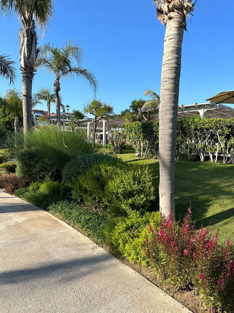 🇹🇷 Любимый отель всех детей
ELA EXCELLENCE RESORT 5*
запустил специальную акцию 

🎁 При бронирова