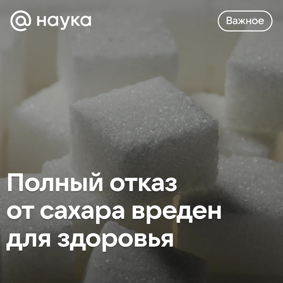 🍫 Полный отказ от сахара вреден для здоровья

Хорошая новость для сладкоежек: ученые доказали, что 