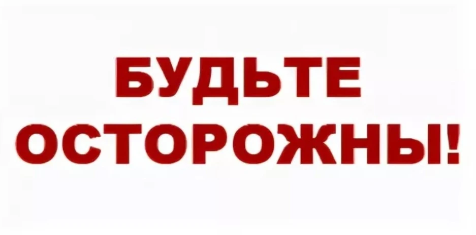 Остановитесь! Падеж животного — это не просто трагедия, но и сигнал тревоги, который не...