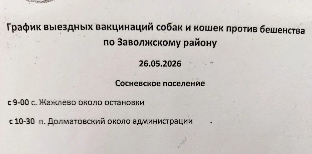 ‼️ИЗМЕНЕНИЯ в графике вакцинации собак и кошек против бешенства: