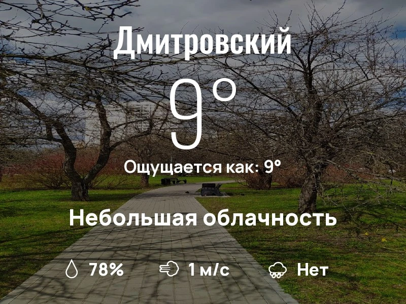 Какая погода в Дмитровском?