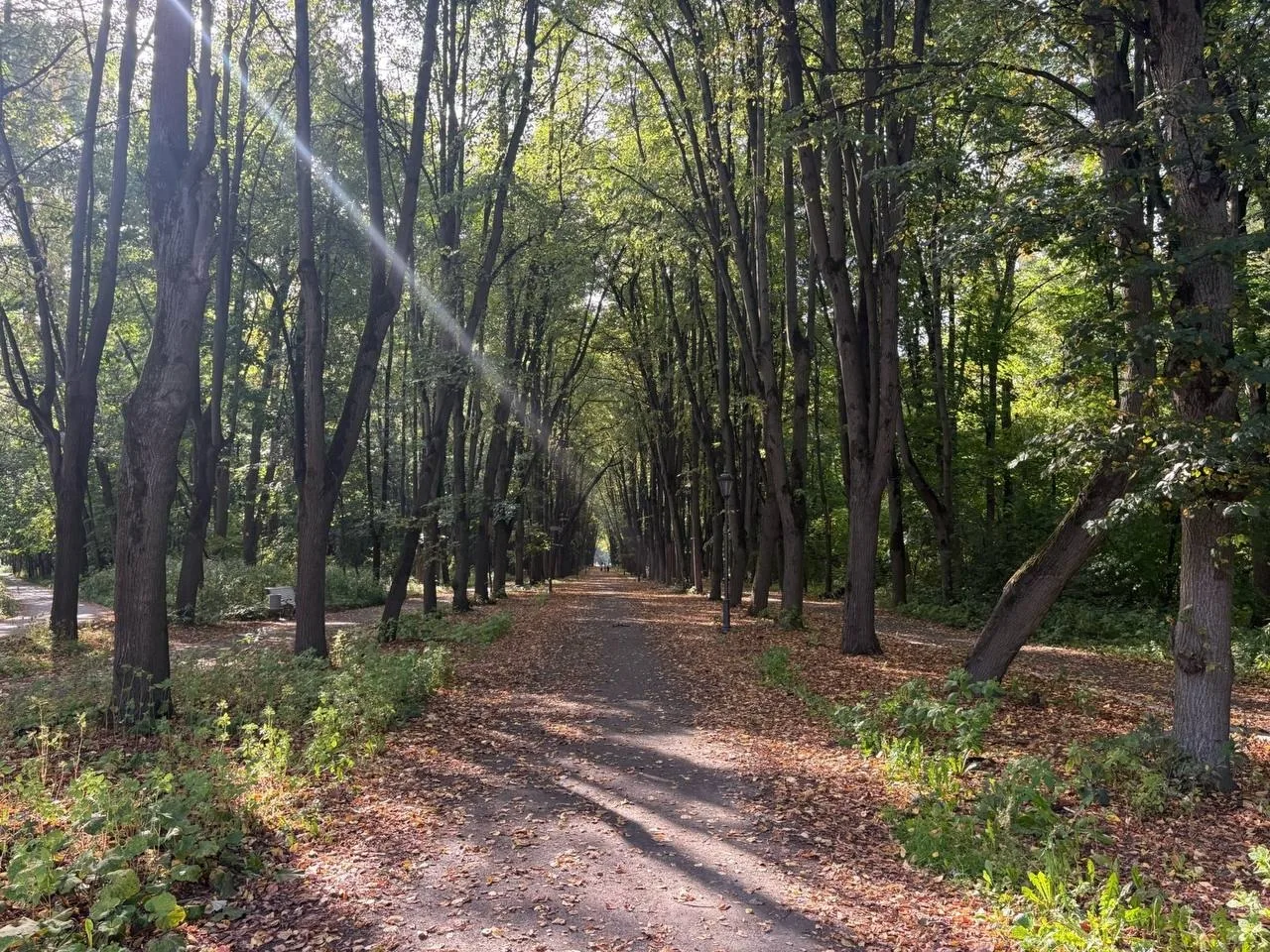 Осенняя красота в соседнем парке Кусково 🍂 Сейчас бы на велосипеде покататься по дорож...