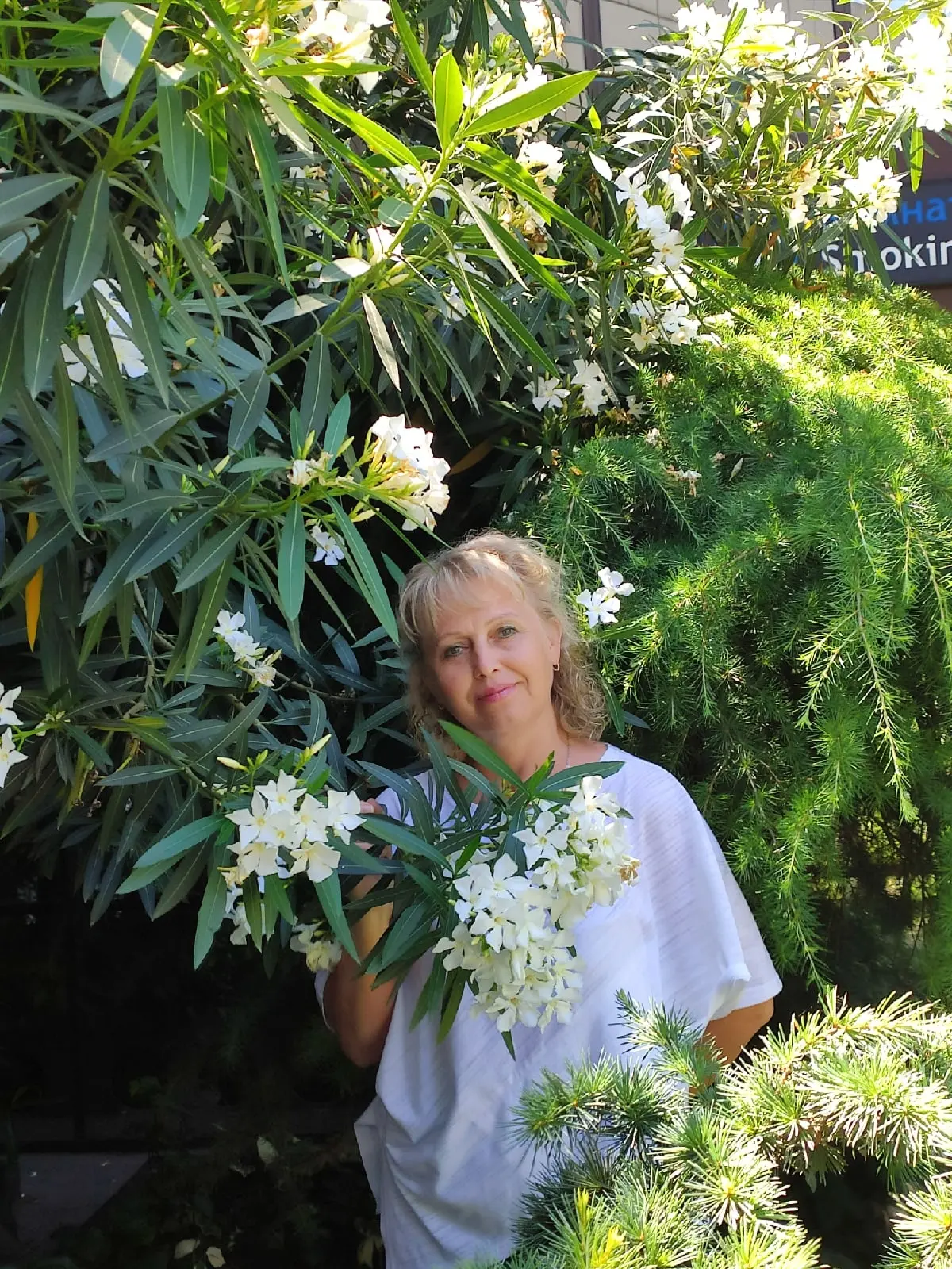 Дорогая Татьяна Алексеевна!

Сегодня особенный день — день рождения нашего мудрого наставника и заме