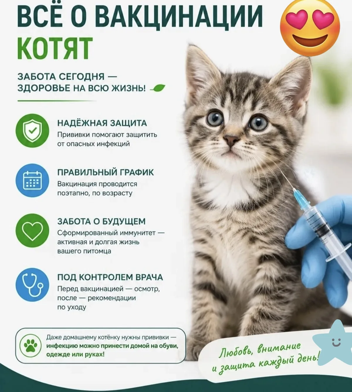 ✅КОТЁНКУ НУЖНА ПРИВИВКА. КОГДА НАЧИНАТЬ И КАК ПРАВИЛЬНО ПРОВОДИТЬ ВАКЦИНАЦИЮ?