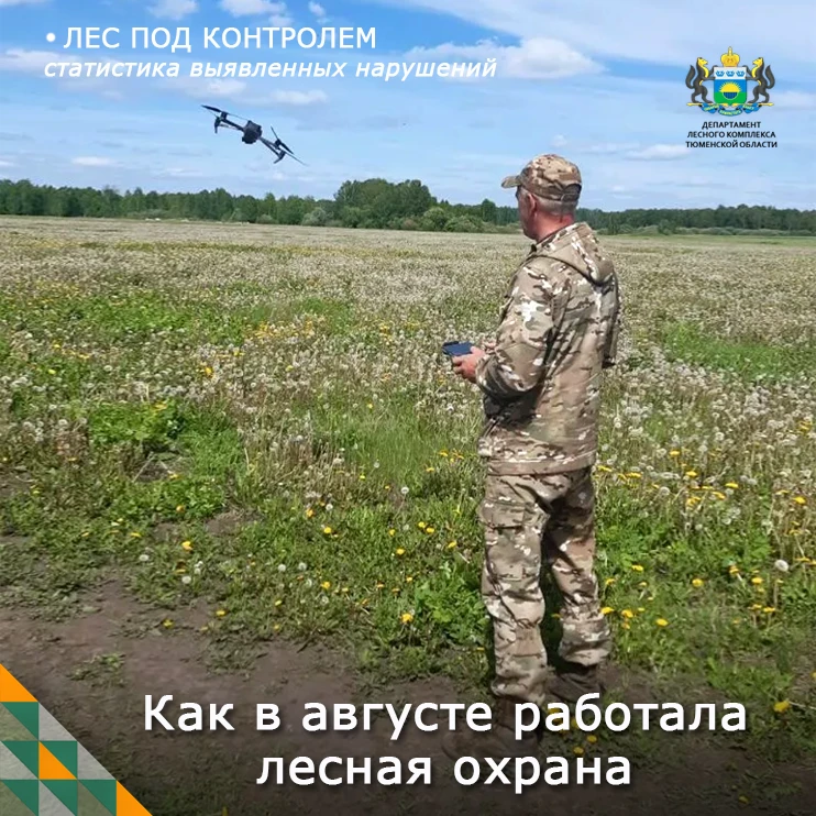 🟢  Рубрика: Лес под контролем