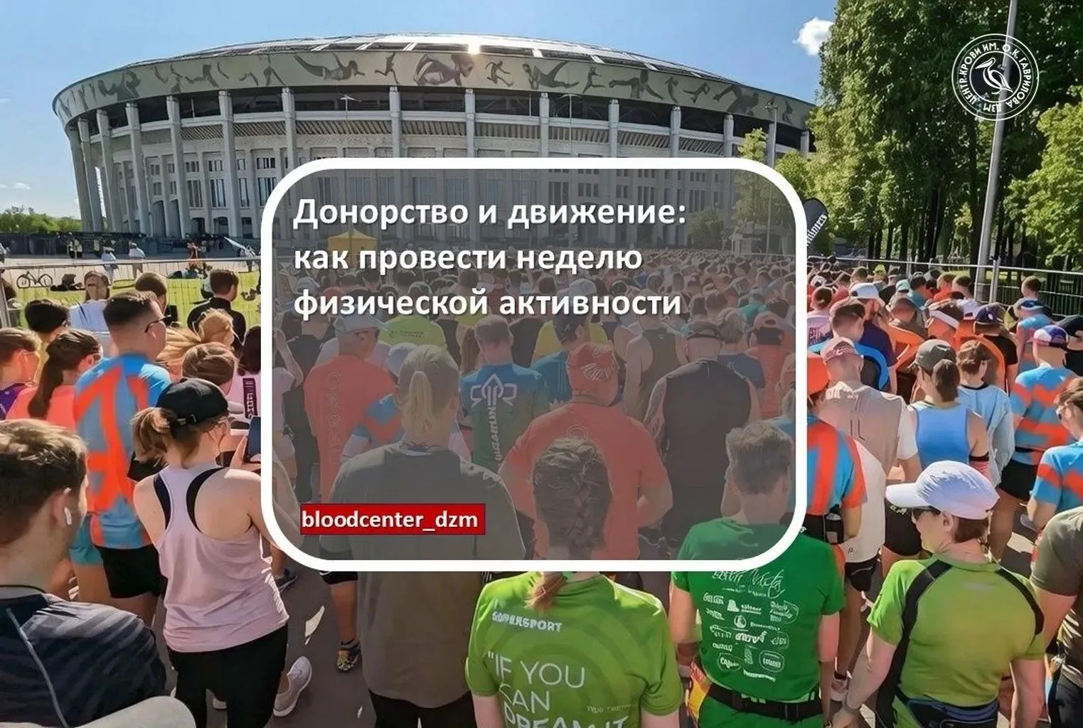 Донорство и движение: как провести неделю физической активности