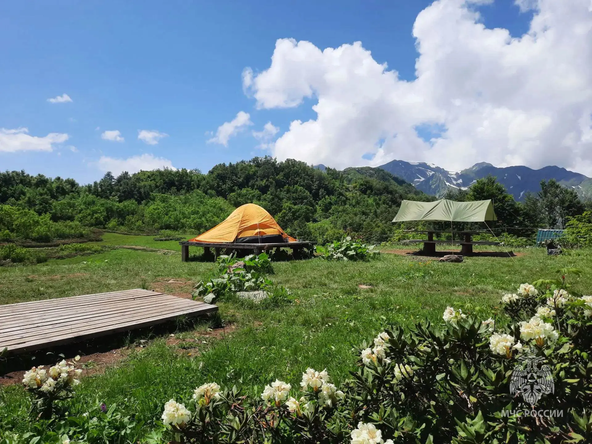🏕️ Сделай свой поход безопасным

Прогулка в лесу и горах может стать приятным занятием, если заране