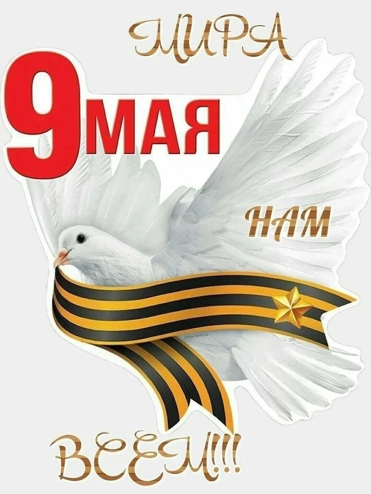 С великим и дорогим для каждого из нас Днём Победы!