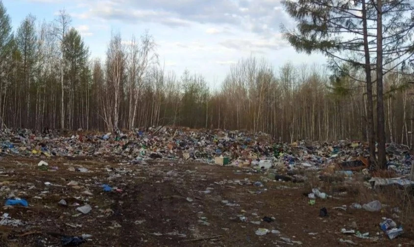 🗑 Прокуратура взяла на контроль ситуацию с выходом медведя к свалке у амурского поселка  В поселке А