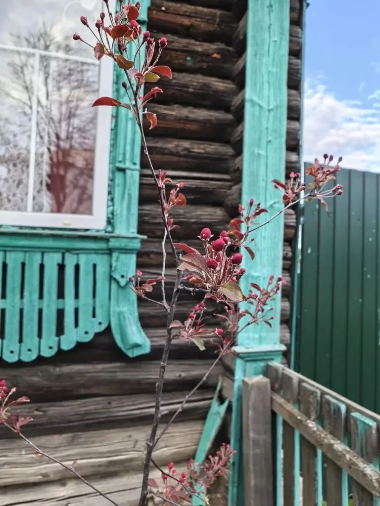 И еще немного атмосферы😍  А мы пошли в баню и отдыхать