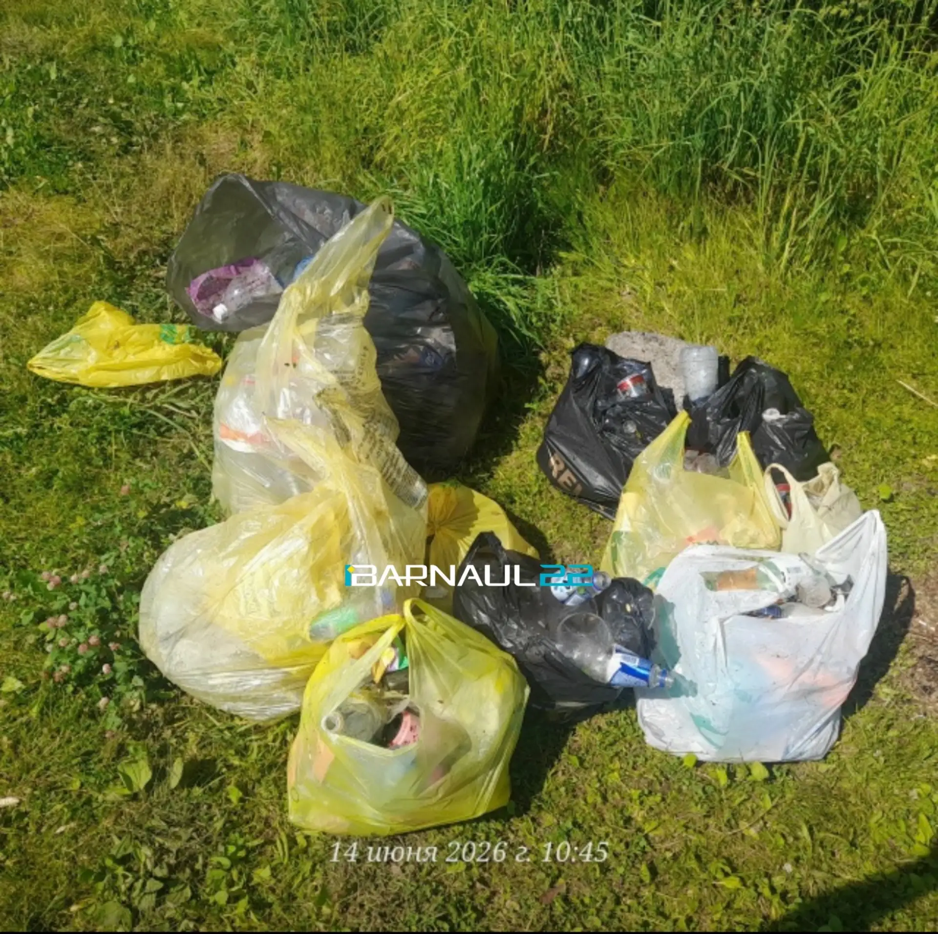 Отдыхающие оставили горы мусора возле озера в барнаульском поселке Лебяжье

Жительница барнаульского