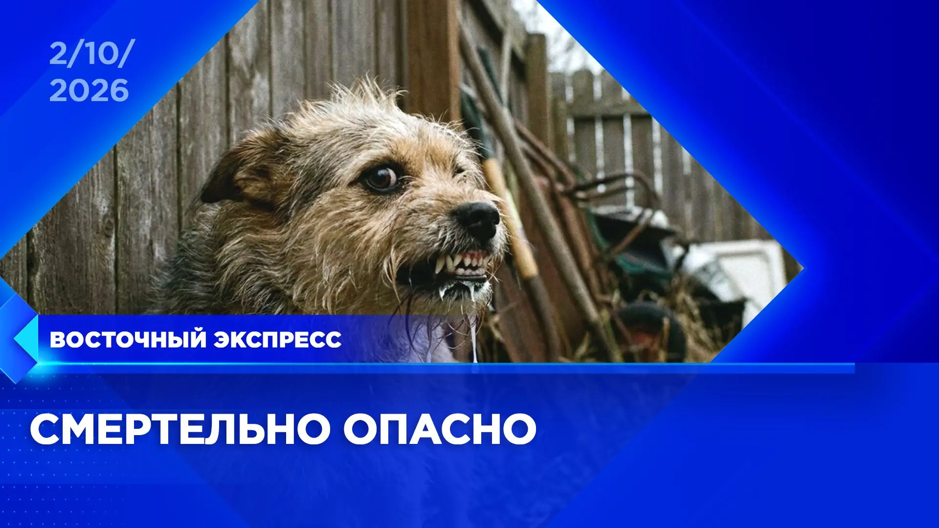 Пропустили эфир? Посмотреть выпуски «Восточного экспресса» вы всегда можете на удобной ...