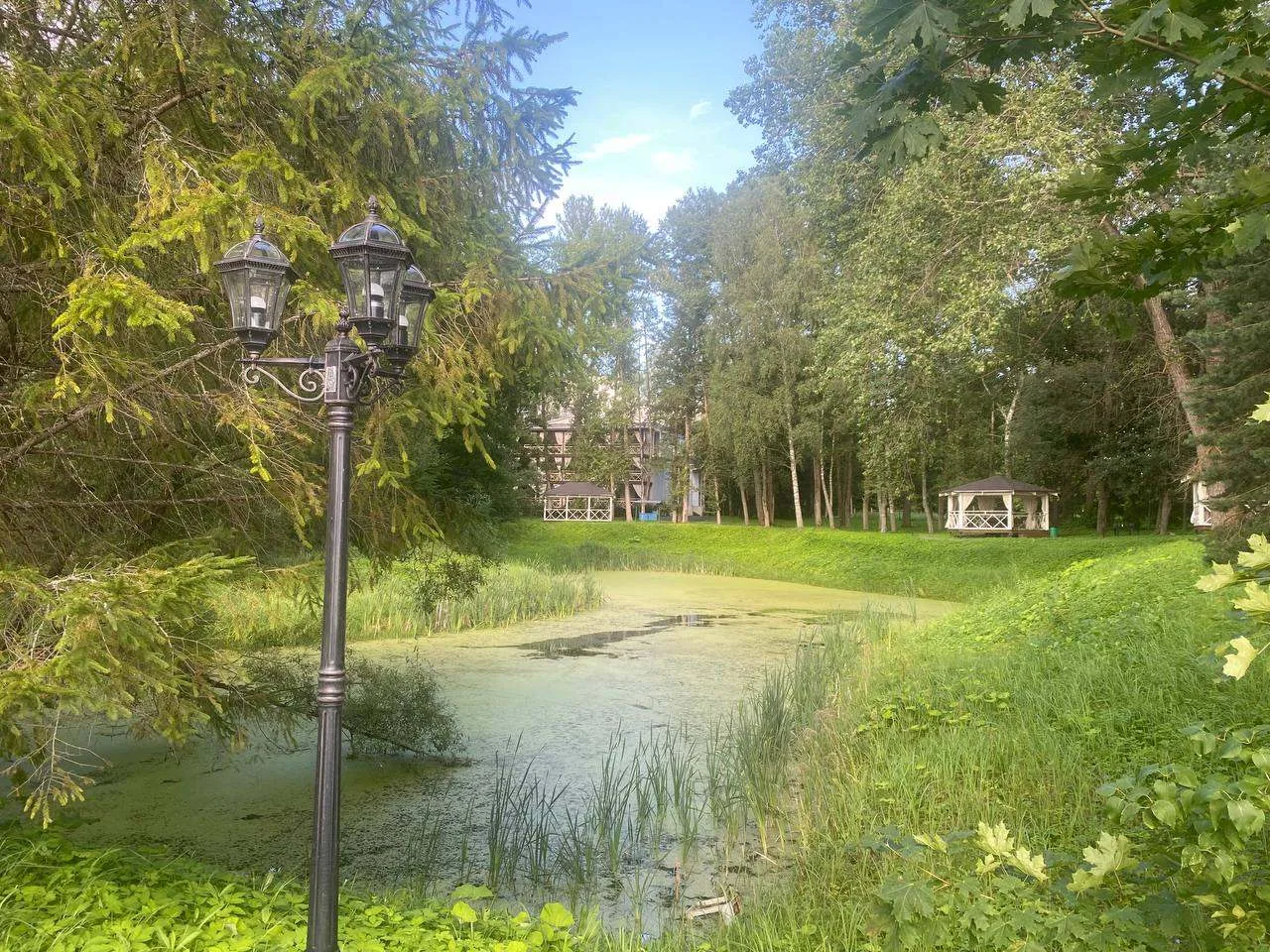 🌳 Парк усадьбы Горетово
#МожайскийМуниципальныйОкруг

📌 О нём свидетельствуют искусственные пруды,