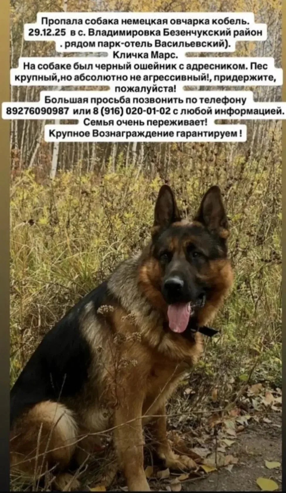 ❗Помогаем информационно!❗