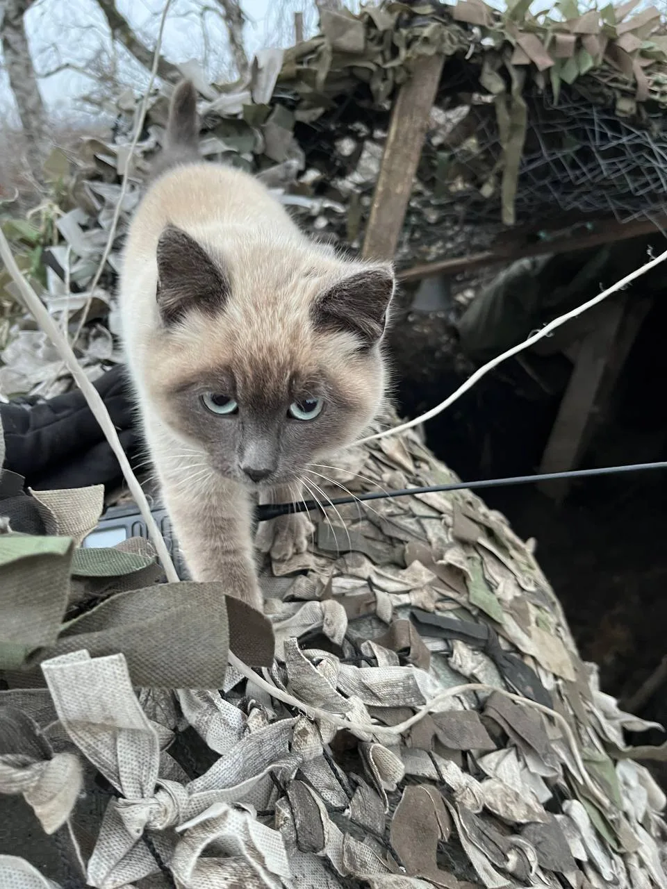 Белгород: нужна ваша помощь!