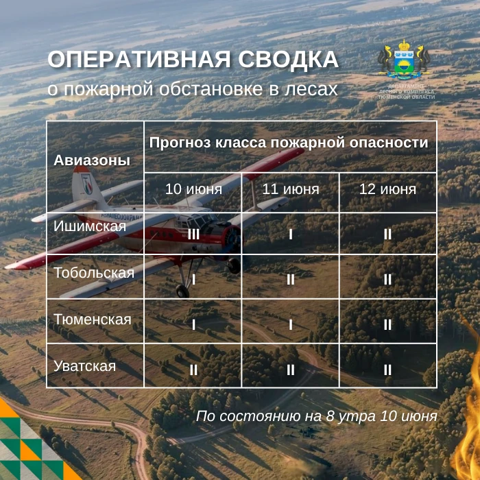 🔥 По данным региональной диспетчерской службы, на утро 10 июня в Тюменской области действует один л
