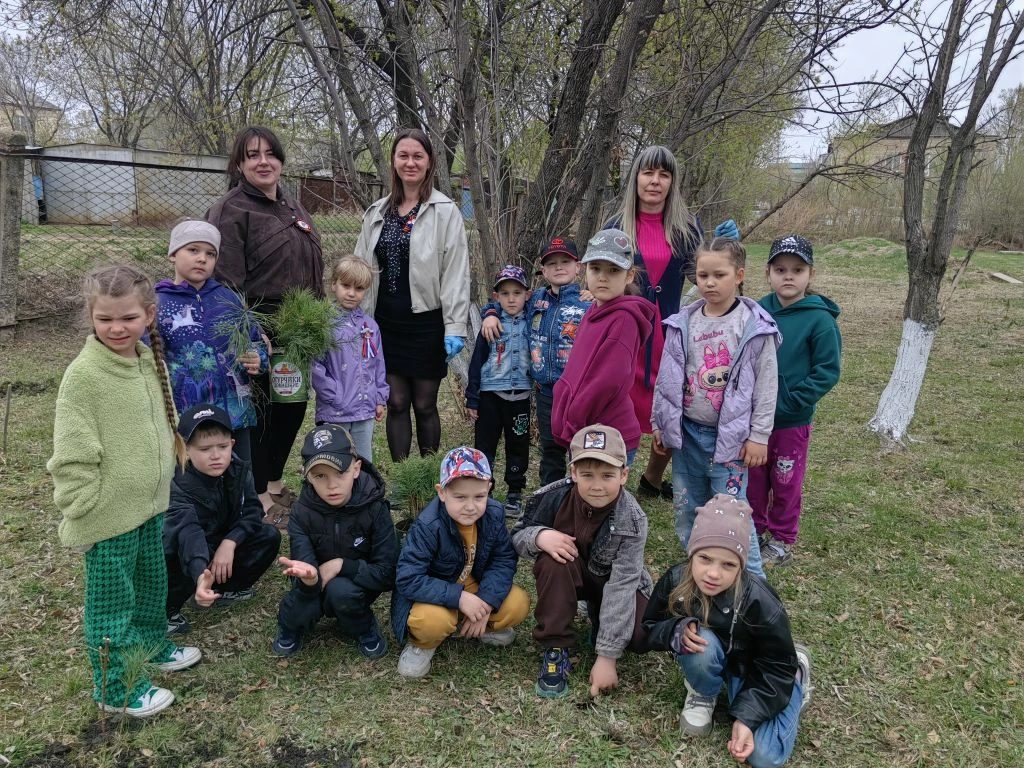 🌲 Экологический праздник в детском саду: посадка кедров!
