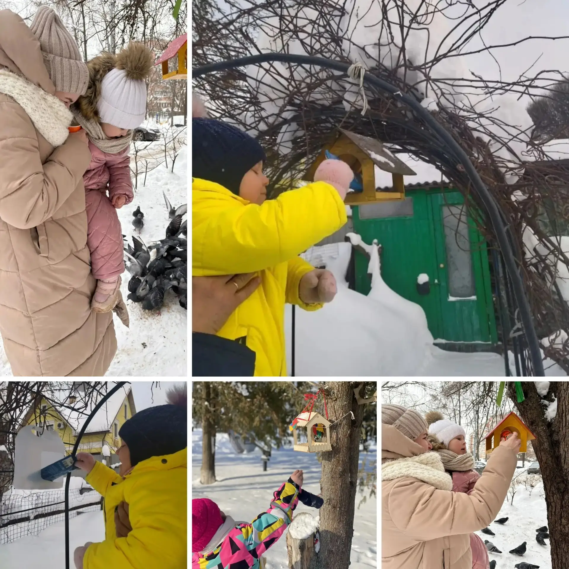 Доброта начинается с малого❤️, и с целью воспитания чуткого отношения к птицам, желания помочь им зи
