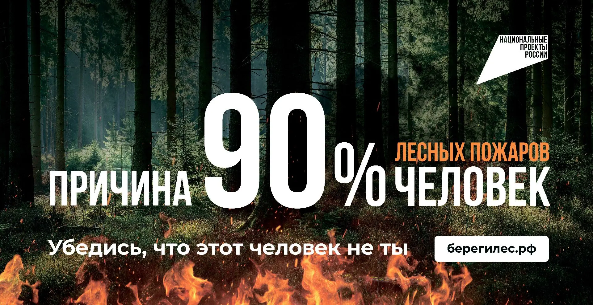 Сохранять леса и защищать их от пожаров помогает национальный проект «Экологическое благополучие». П