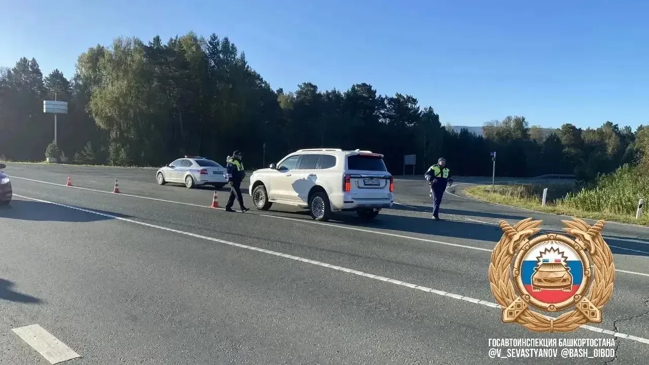На дорогах РБ проходят массовые проверки