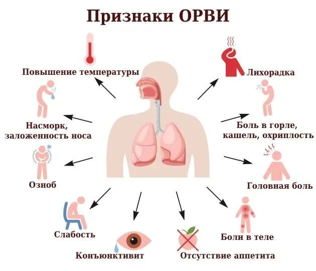 ​🏙 Сезон ОРВИ начался