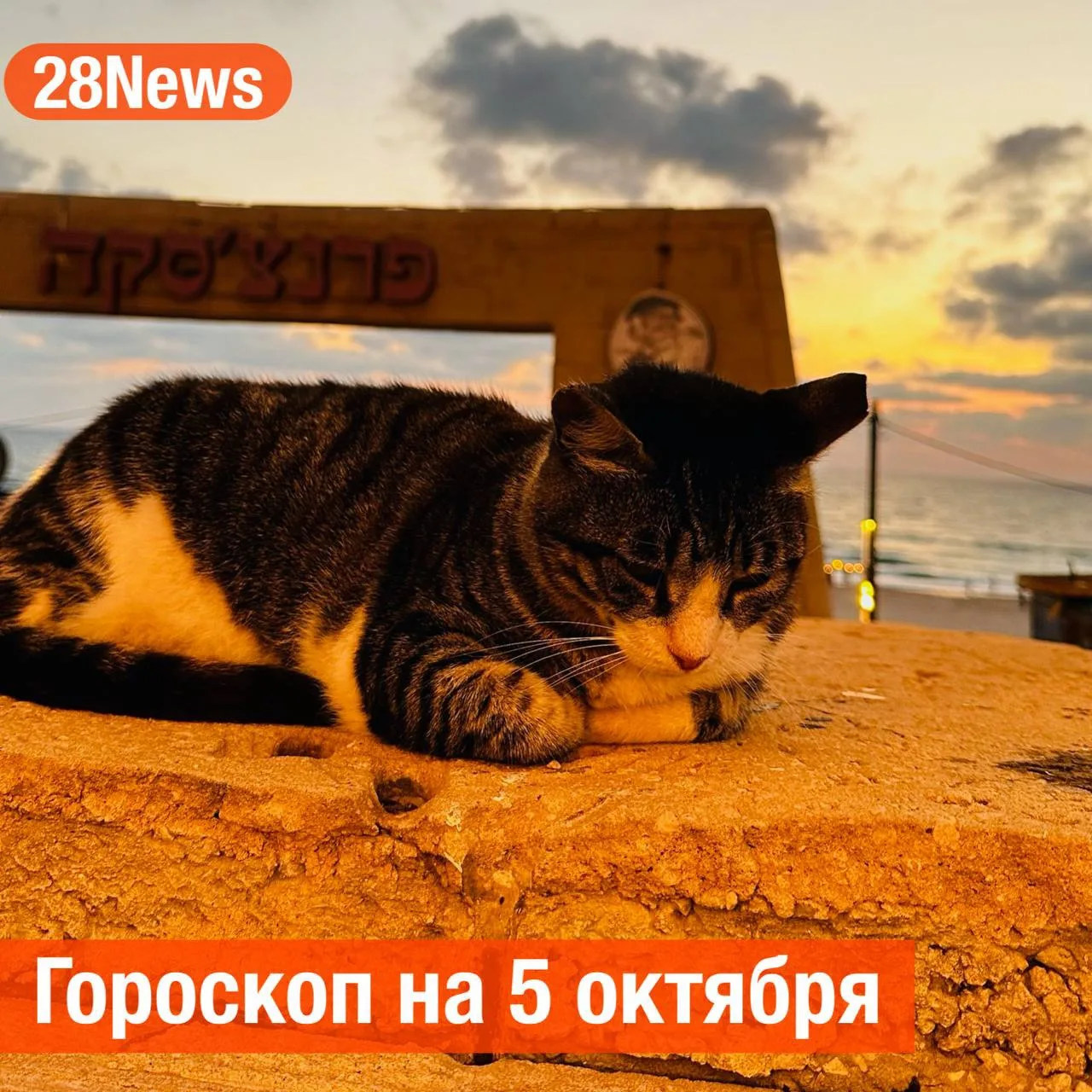 Овен ♈️