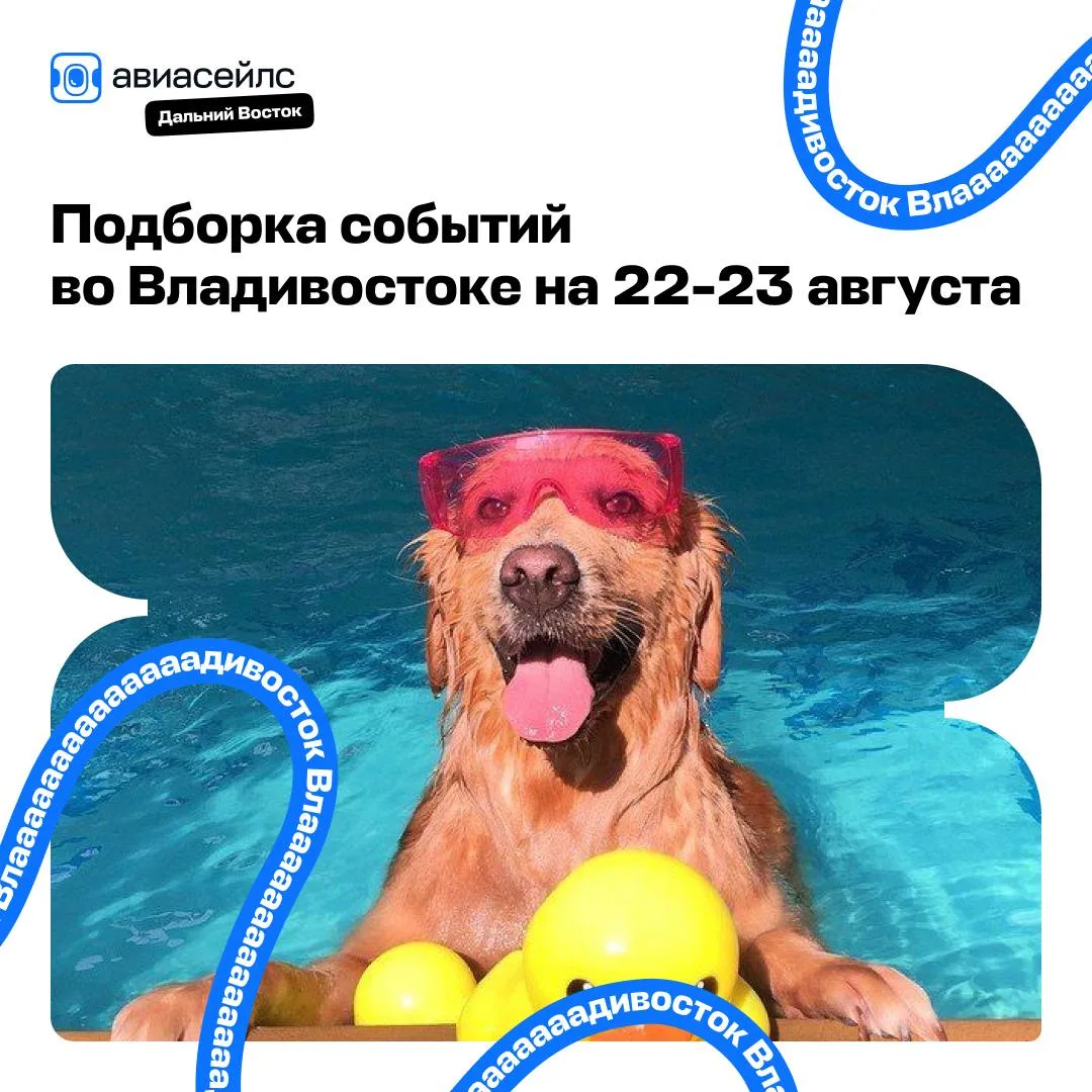 На ваш телефон пришло новое сообщение, посмотрите, вдруг там что-то важное 👉