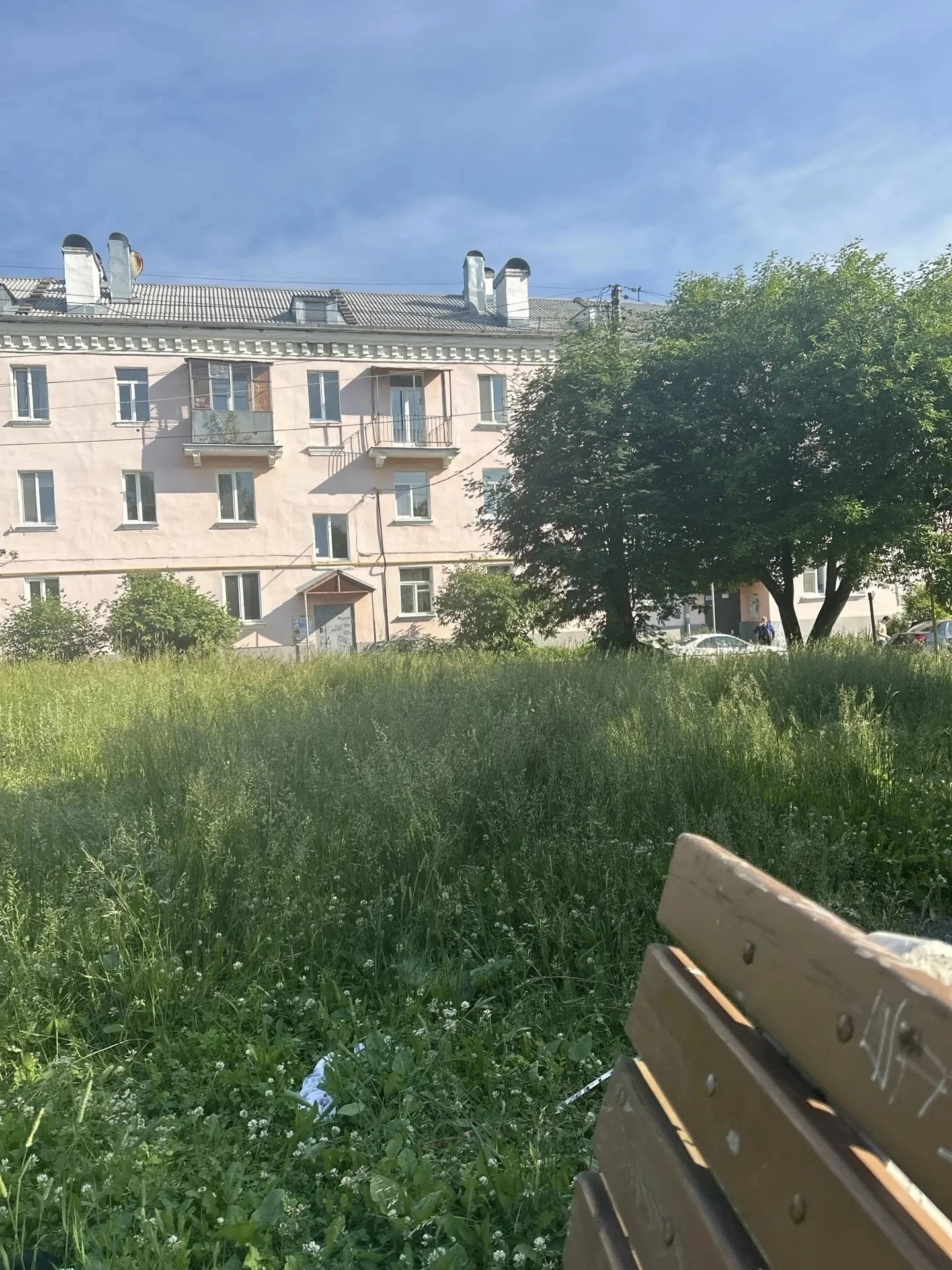 Нам пишут: Добрый день ! Пребываю в шоке , трава на площадке напротив Петрова 57а выше ...