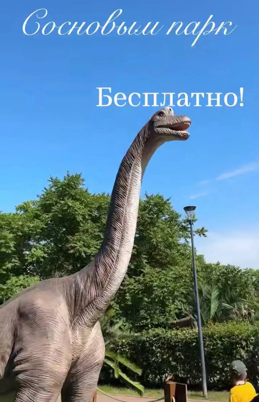 🌳 Парк «Сосенки» — место для спокойной прогулки всей семьёй 👨‍👩‍👧‍👦