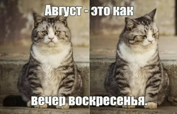 Сегодня снова будет КВИЗ
