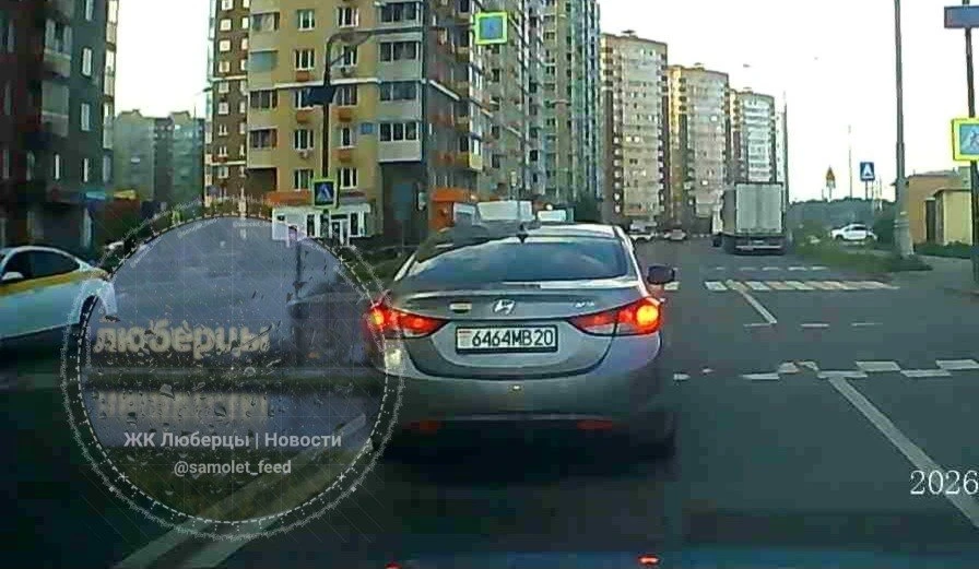 #нампишут 
Вчера вечером, встретился с данным гостем из ближнего зарубежья. 
Хам, остановился, еще и