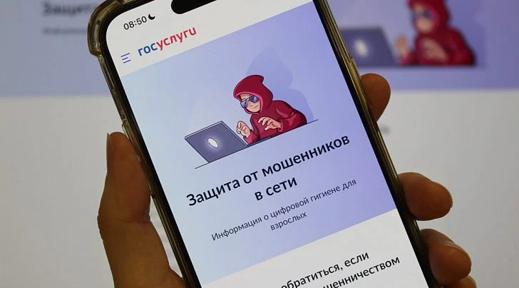Как защитить деньги и имущество с помощью Госуслуг