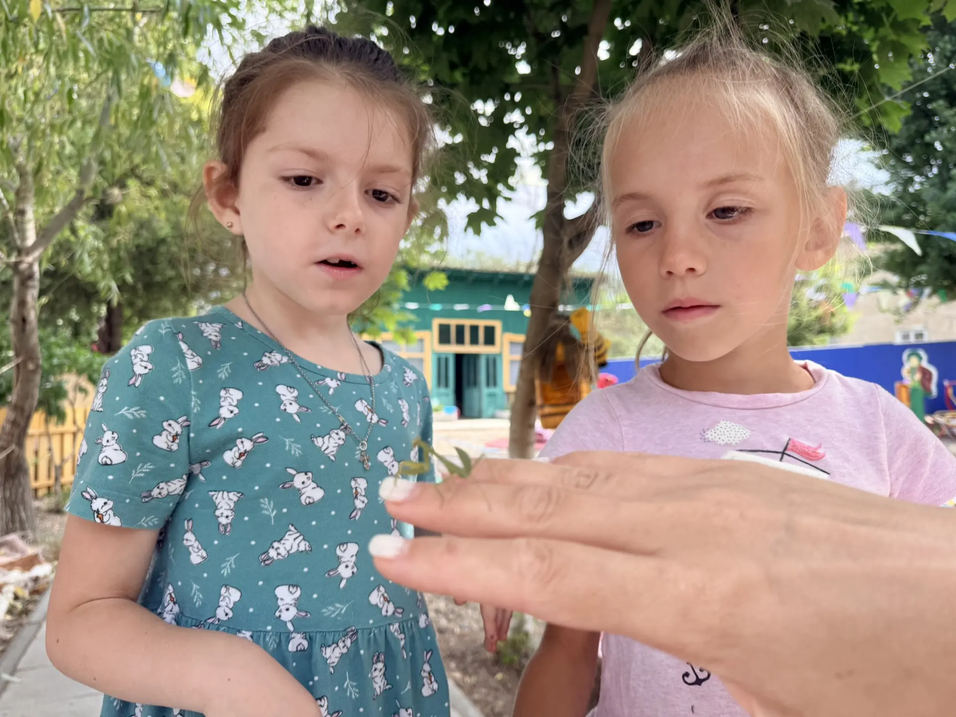🦗 «Осторожно, он живой!» — и в этот момент время будто замирает.
Для детей это приключение, для нас