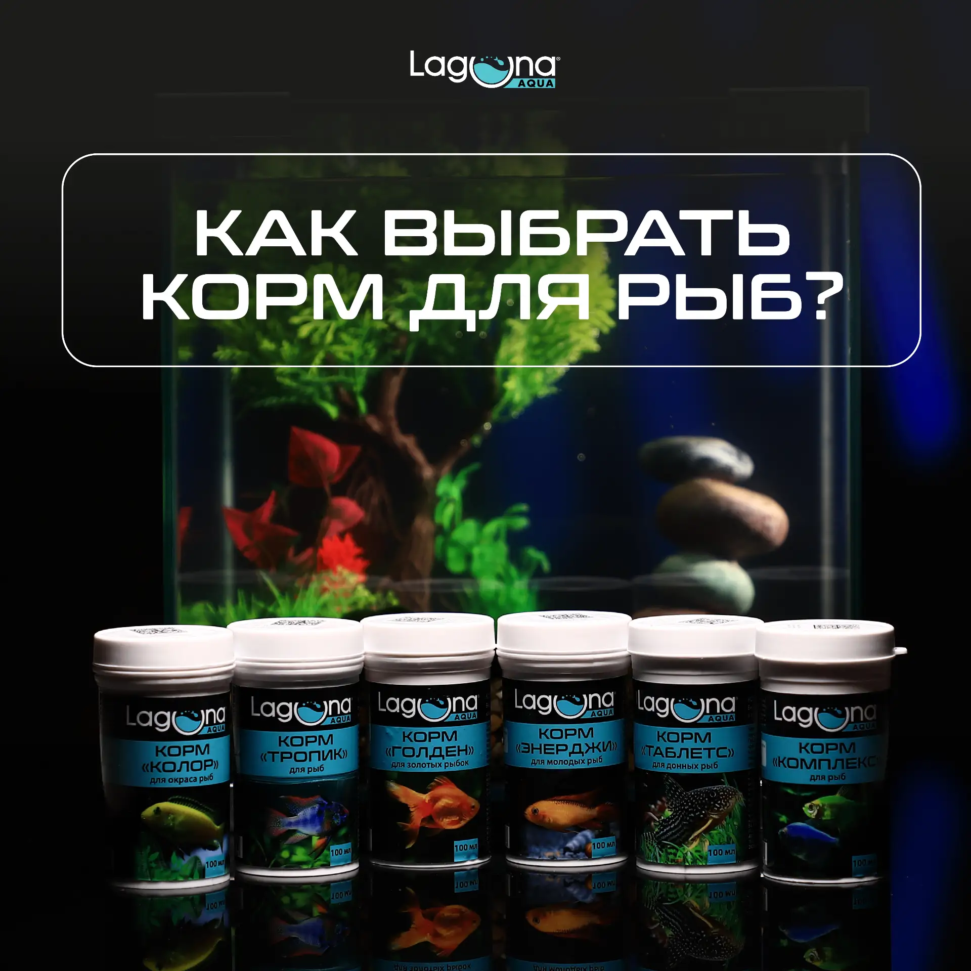 Как выбрать идеальный корм для рыб? 🐠

Здоровье рыб, их яркий окрас и чистота воды в аквариуме напр