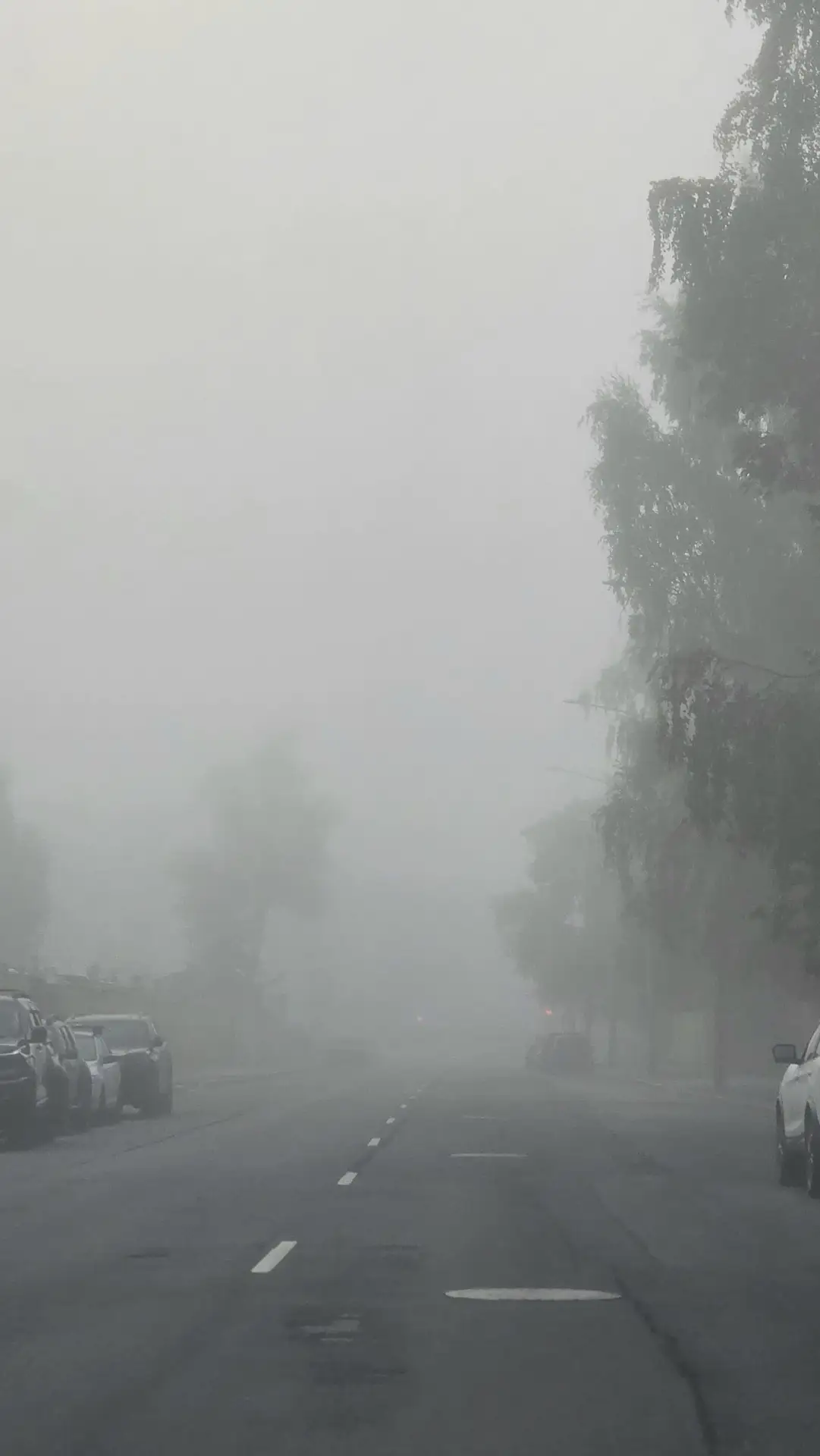 Петербург снова накроет туман 🌫